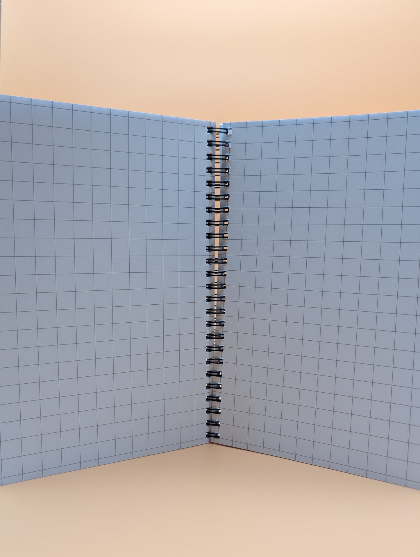 Notizbuch