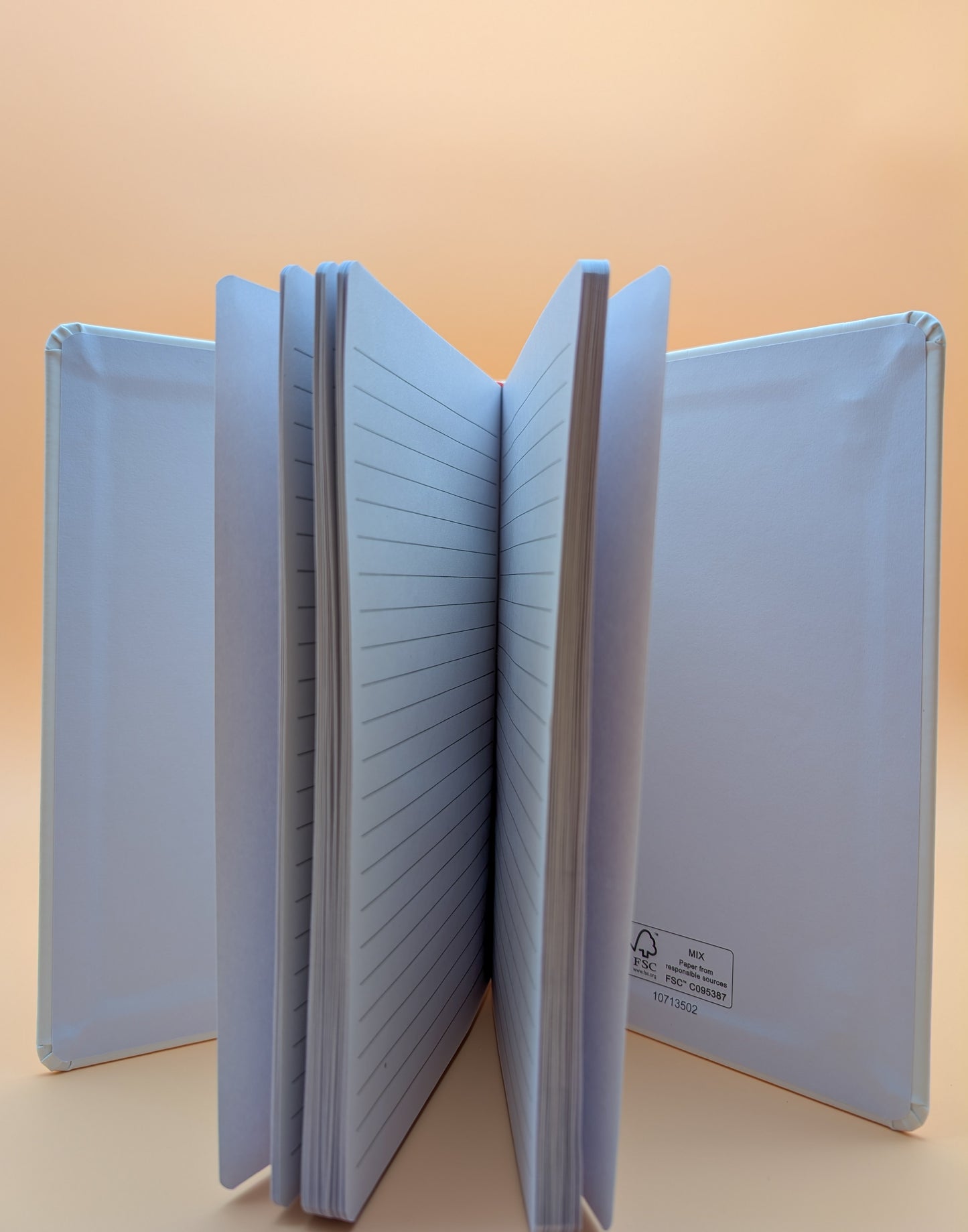 Notizbuch